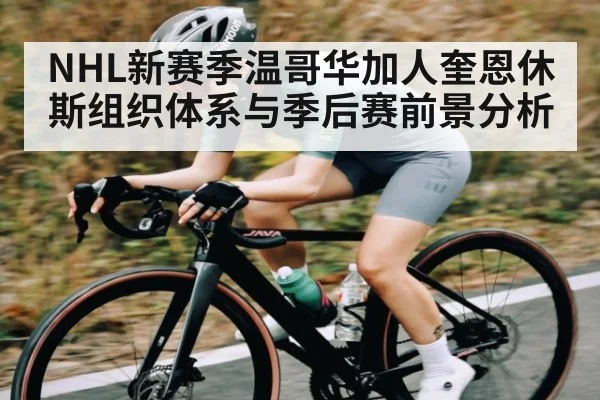 NHL新赛季温哥华加人奎恩休斯组织体系与季后赛前景分析